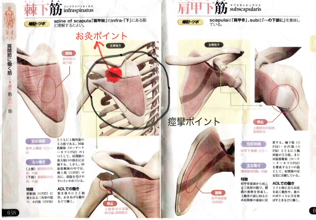 肩の痛みがほぼ完治 私が自宅で実践している簡単なメンテナンス方法をご紹介 肩の痛みがほぼ完治 私が自宅で実践している簡単なメンテナンス方法をご紹介
