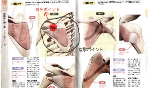 肩