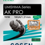 AK PRO 16