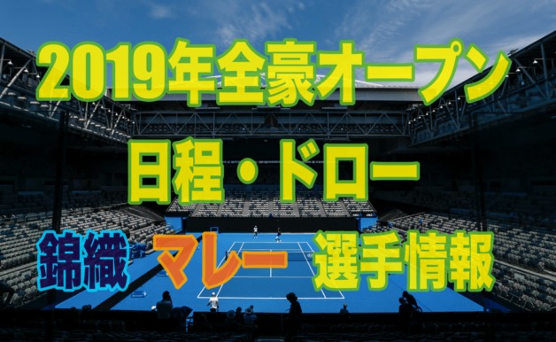 全豪オープン19 ドローと結果 日程 錦織 マレー選手情報
