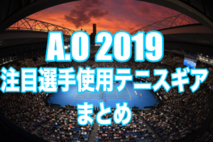 2018全豪オープン トッププロ使用グッズ シャポバロフ