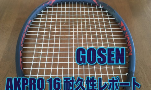 GOSEN】AK PRO 16 インプレッション 〜ウミシマ型って何？ » テニス