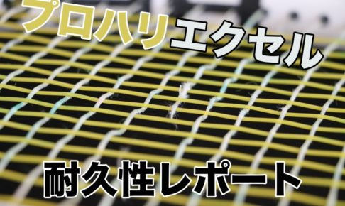 プロハリ・エクセル 耐久性とテンション維持性