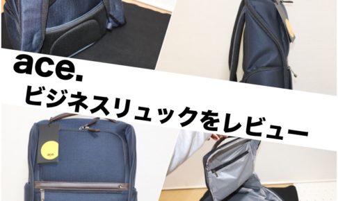 ace. EVL-3.5 No.62012 レビュー