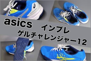 ゲルチャレンジャー12 レビュー