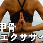 肩甲骨のエクササイズ