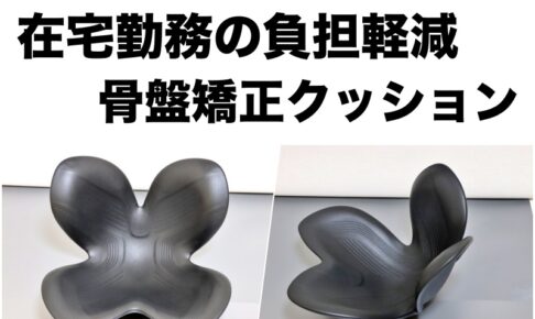骨盤矯正 style standard インプレ